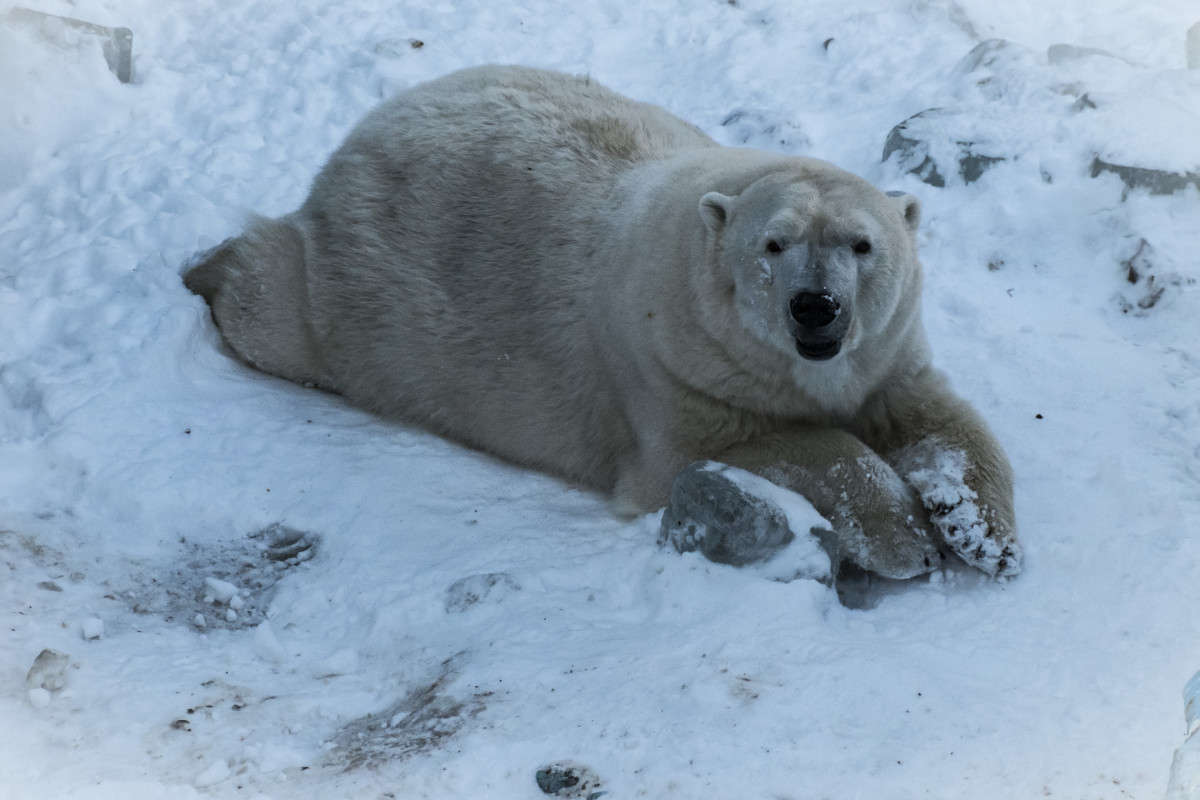 ����� �����.... ����� ������  �� PhotoGeek.ru #�������� ���