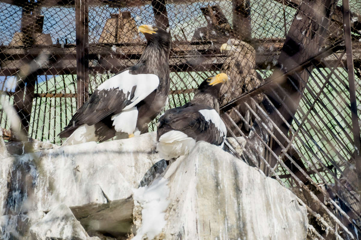 ����.... ����� ������  �� PhotoGeek.ru #�������� ��� #������ ��� �������