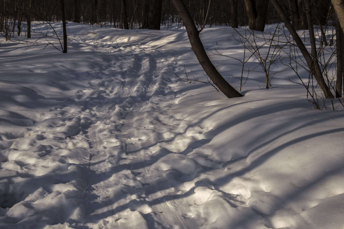 ��������� ����� ����� ������  �� PhotoGeek.ru #������ ��� �������