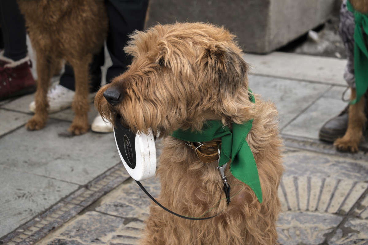 ��������� ��������... ����� ������  �� PhotoGeek.ru #�������� ���