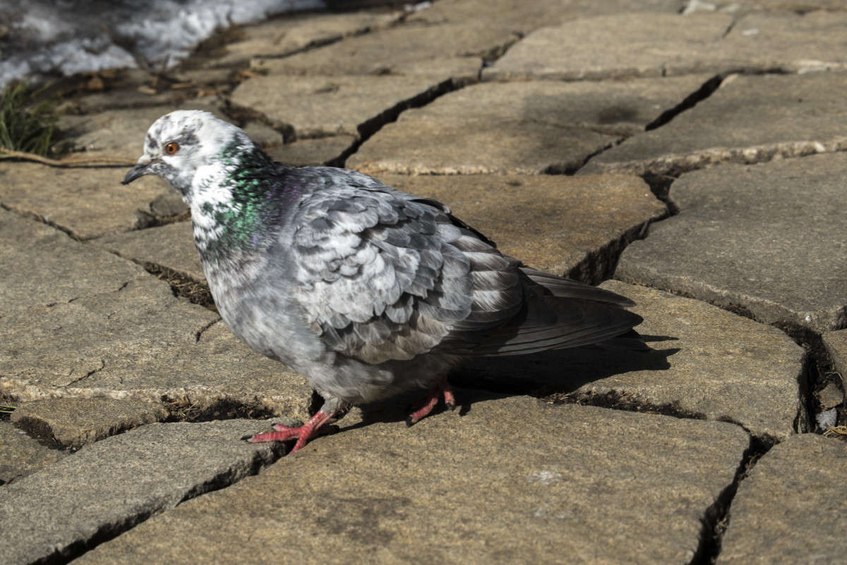 ����� ���... ����� ������  �� PhotoGeek.ru #�������� ���