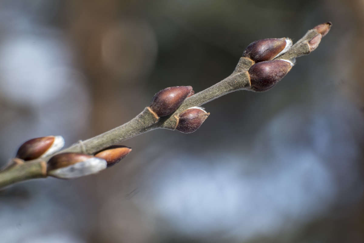 ��� �����.. ����� ������  �� PhotoGeek.ru #������ ��� �������