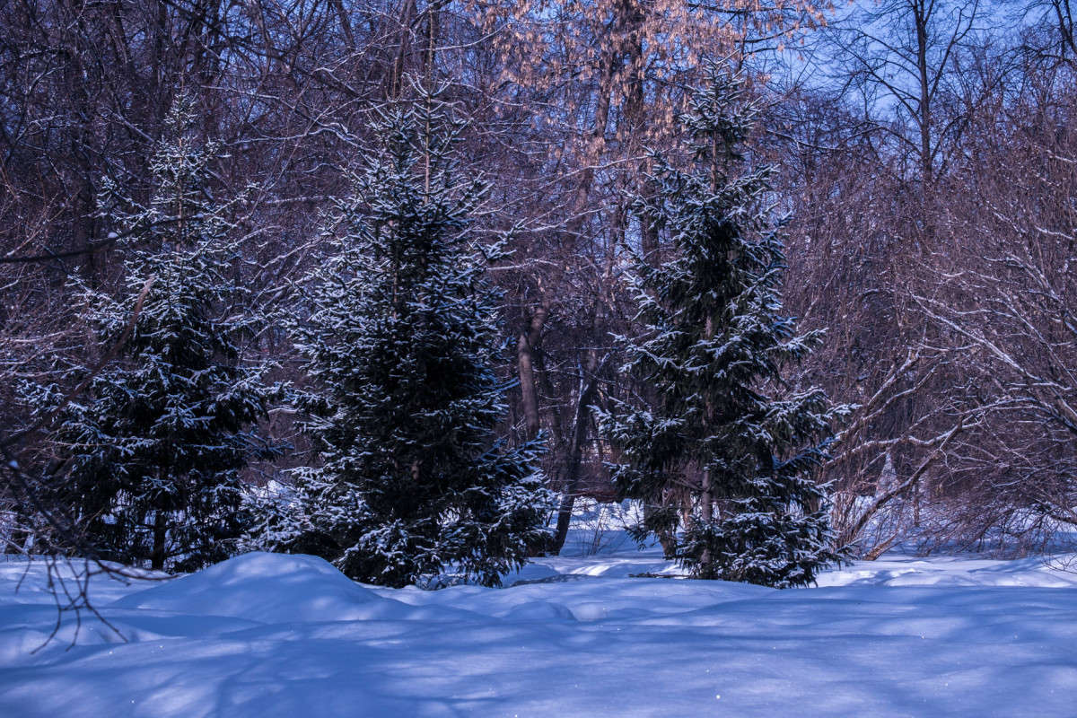 ��� � ����� ���..... ����� ������  �� PhotoGeek.ru #������ ��� �������