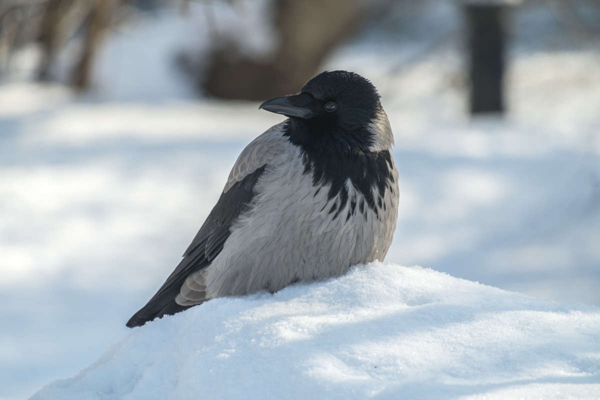 ������ ���������..... ����� ������  �� PhotoGeek.ru #�������� ���