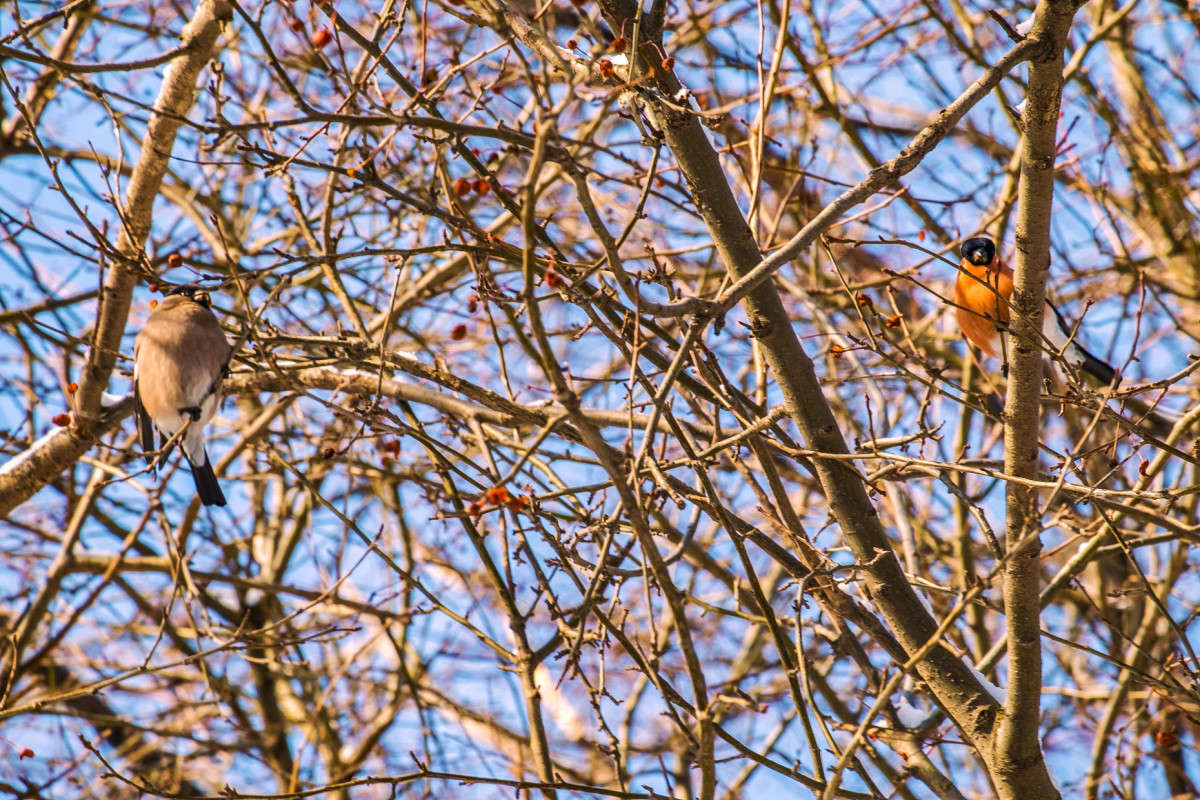 ������� ����� ������  �� PhotoGeek.ru #�������� ���