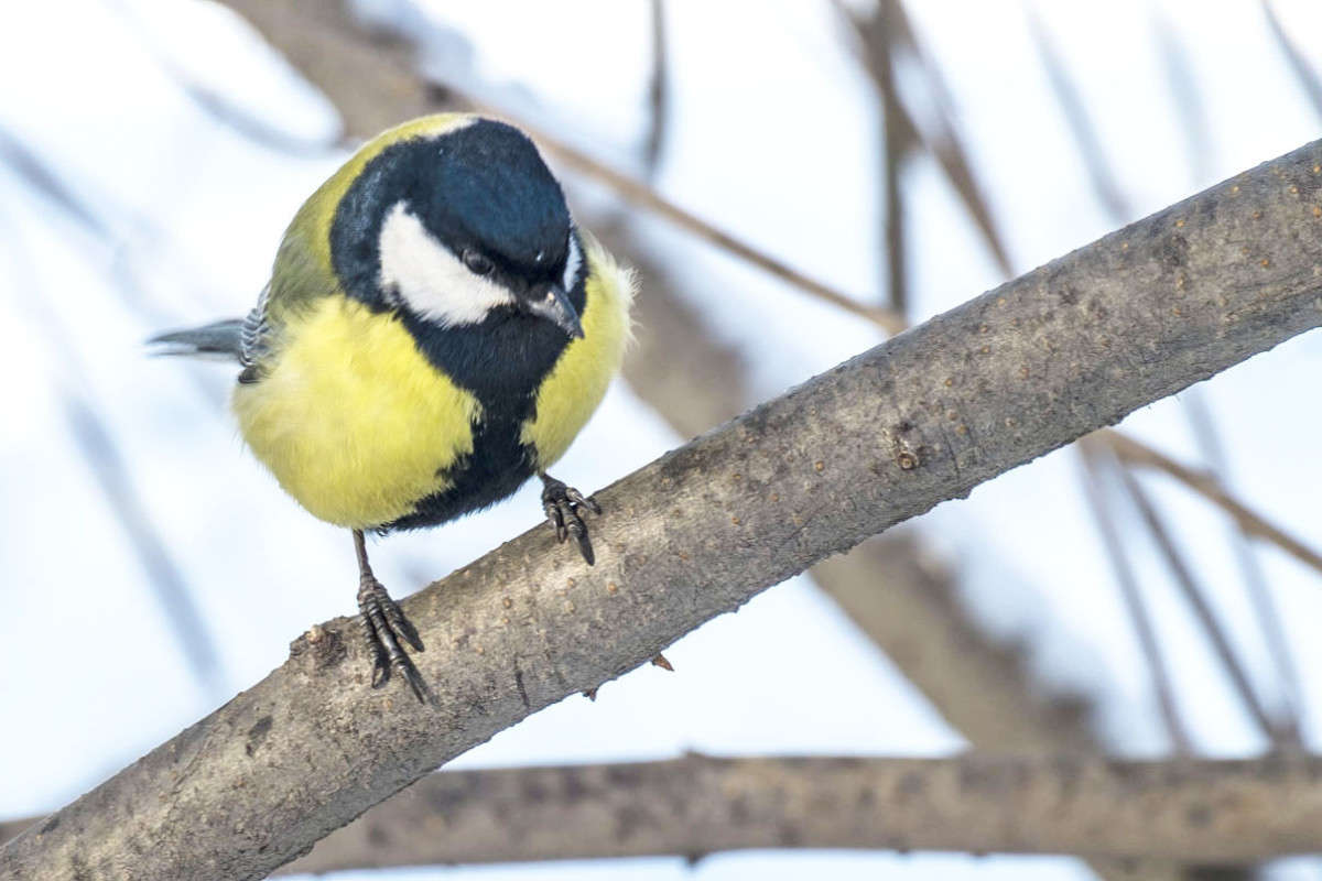 .....� ��� ������� ����� ������  �� PhotoGeek.ru #�������� ���