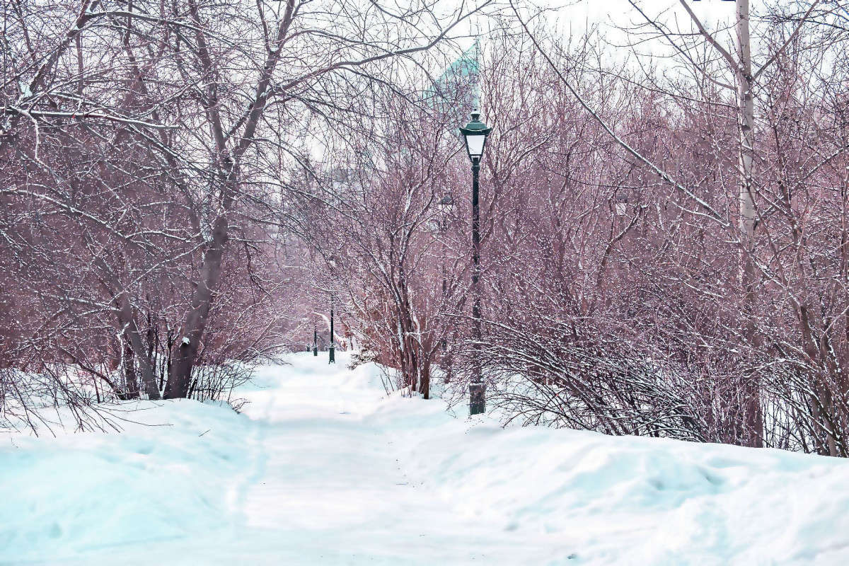 �� ���� � �� ����� 2 ����� ������  �� PhotoGeek.ru #������ ��� �������