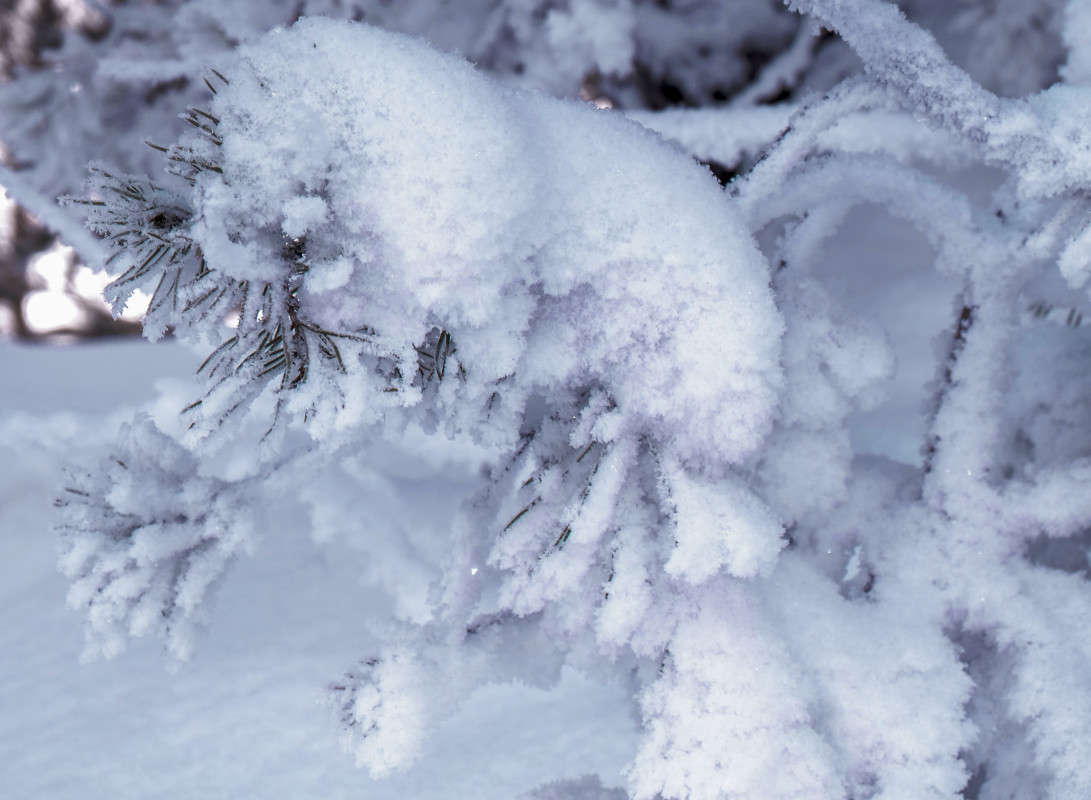 ������� ������ 2 ����� ������  �� PhotoGeek.ru #������ ��� �������