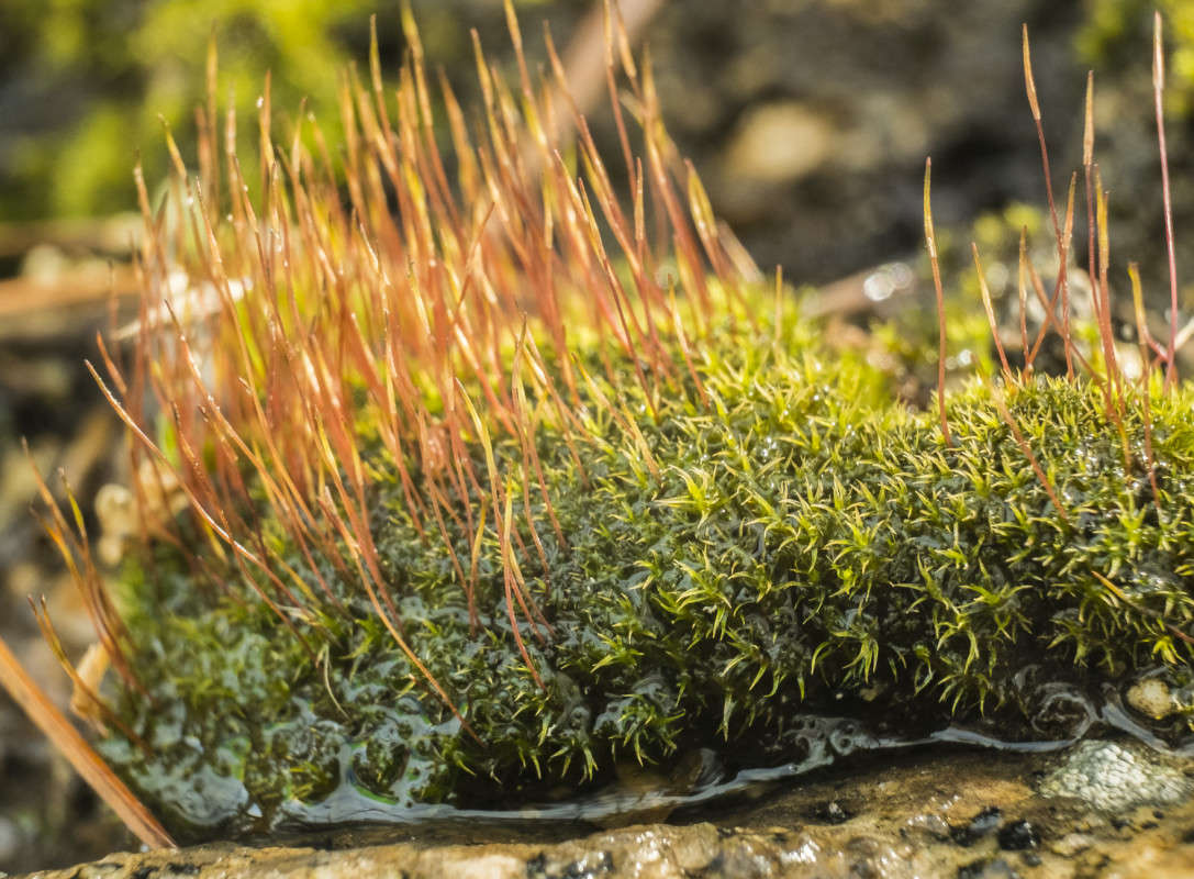 ������ ����� �����.... ����� ������  �� PhotoGeek.ru #������ ��� �������