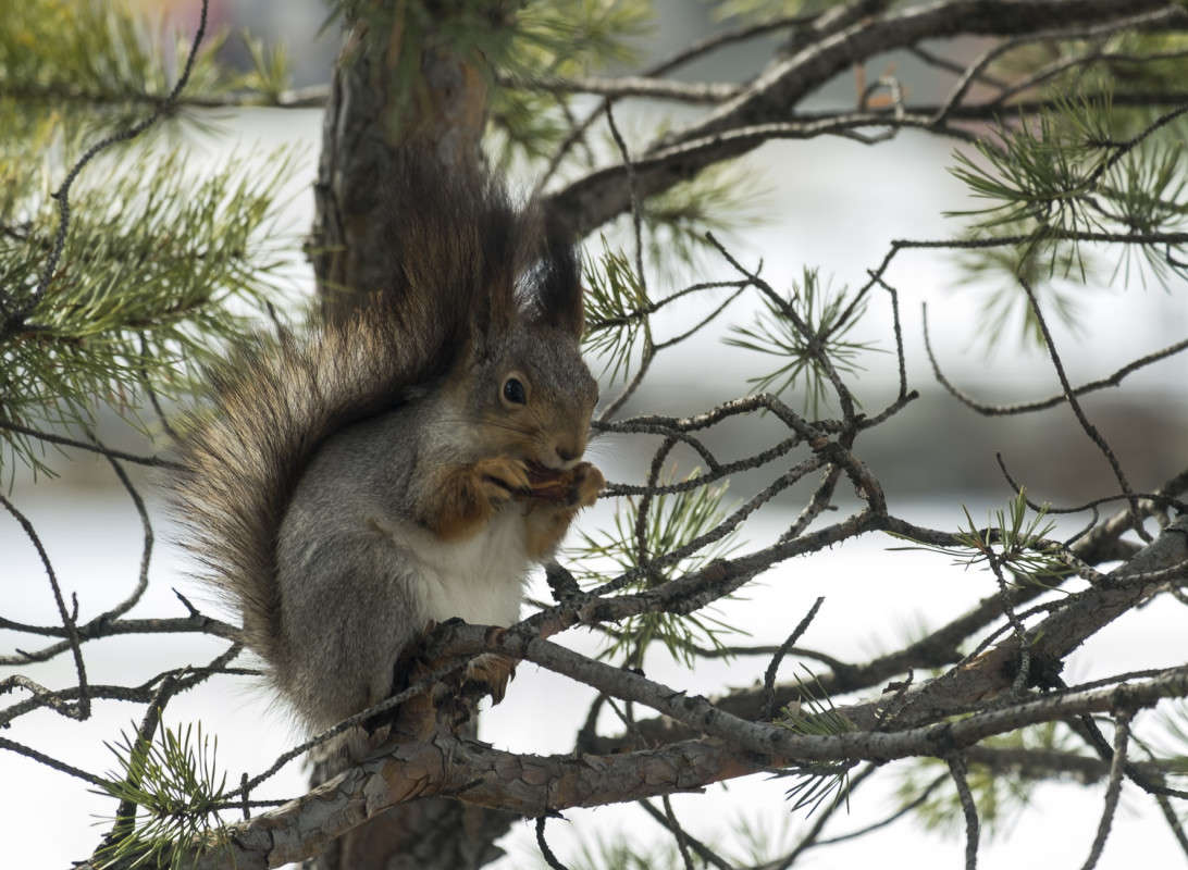 ����� �������.... ����� ������  �� PhotoGeek.ru #�������� ���