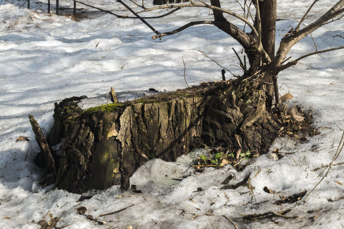 ����������.... ����� ������  �� PhotoGeek.ru #������ ��� �������