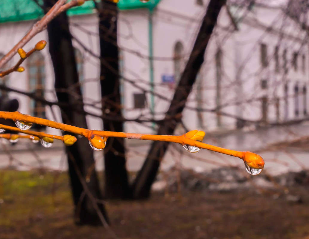 ���-��� ����� ������  �� PhotoGeek.ru #������ ��� �������