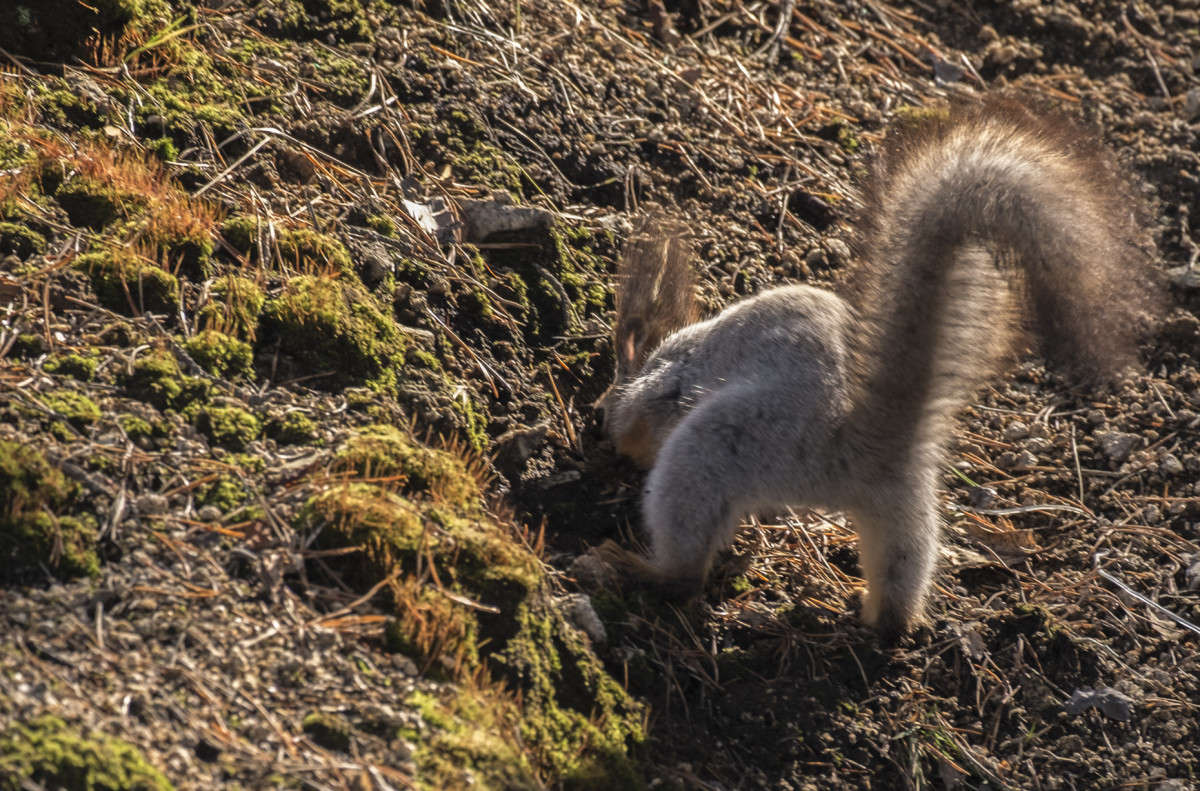 �� � ��� ������??? ����� ������  �� PhotoGeek.ru #�������� ���