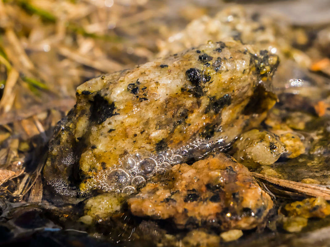 � ������ ����� �������� ���� ������� �..... ����� ������  �� PhotoGeek.ru #������ ��� �������