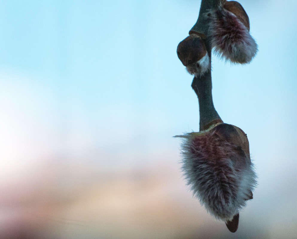 ������... ����� ������  �� PhotoGeek.ru #������ ��� �������