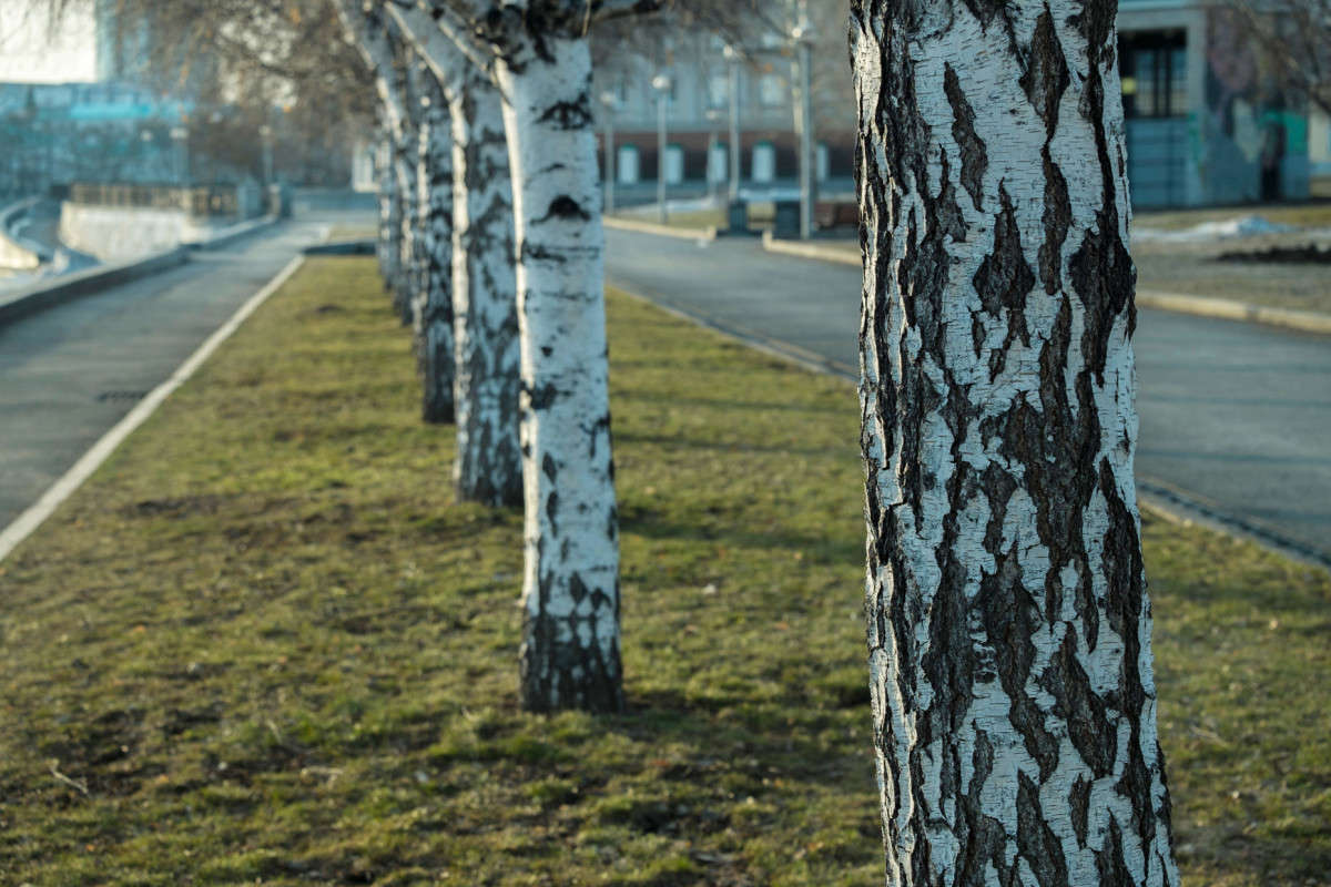 ������ ��������� ������.... ����� ������  �� PhotoGeek.ru #������ ��� �������