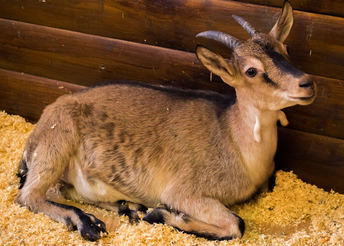 ������� ����� ������  �� PhotoGeek.ru #�������� ���