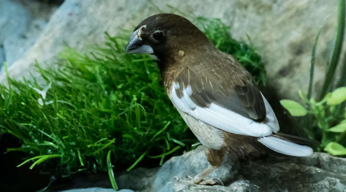 ������ ����� ������  �� PhotoGeek.ru #�������� ���