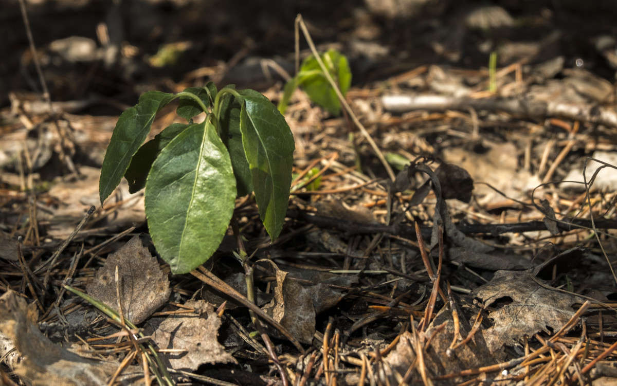 ������ ������ ����� ������  �� PhotoGeek.ru #������ ��� �������