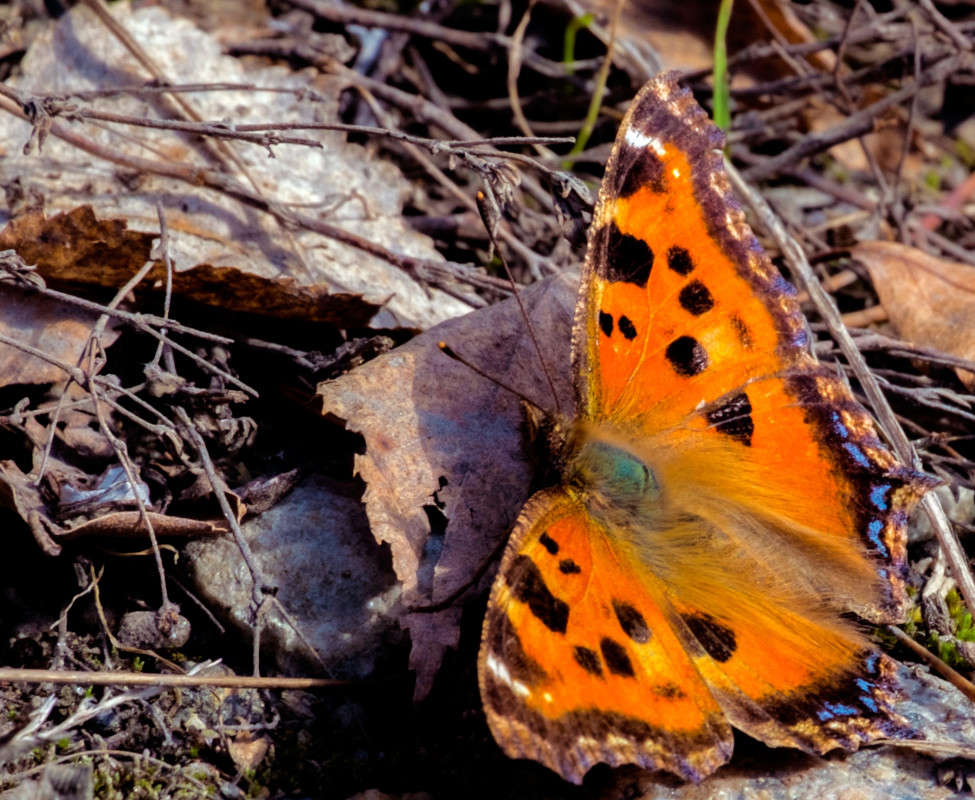 ������������! ����� ������  �� PhotoGeek.ru #����� #�������� ���