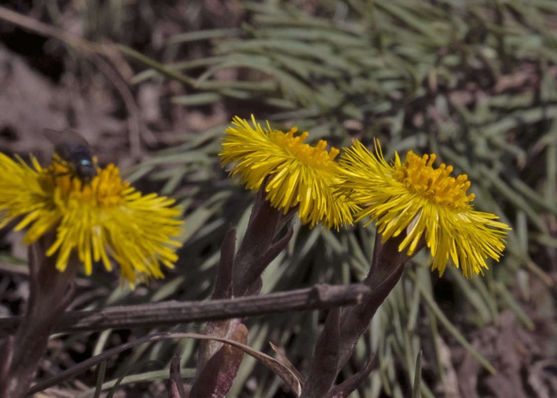 ������ �����... ����� ������  �� PhotoGeek.ru #������ ��� �������