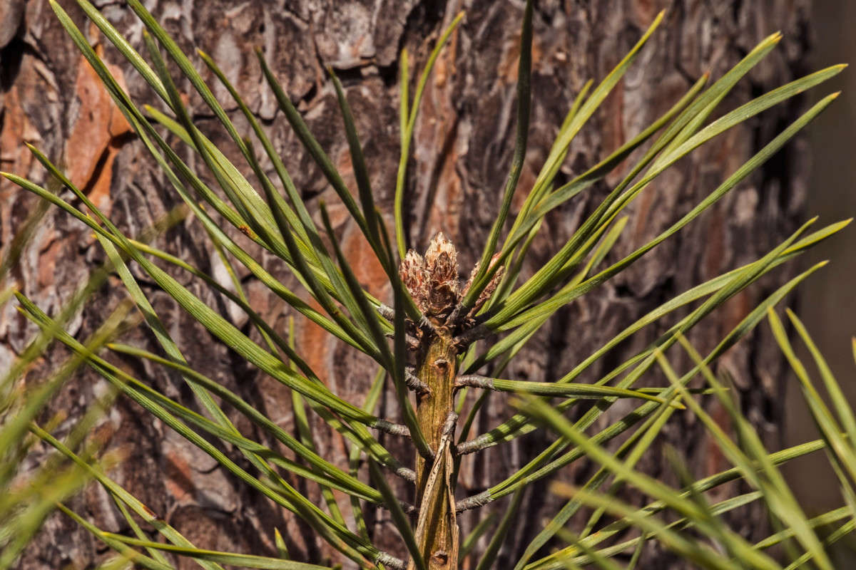 ����� �����! ����� ������  �� PhotoGeek.ru #������ ��� �������