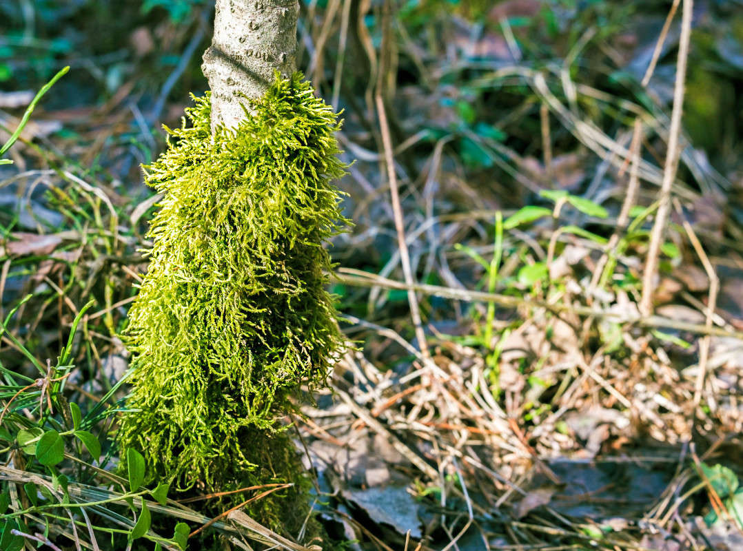 ���� ������� ����� �������... ����� ������  �� PhotoGeek.ru #������ ��� �������