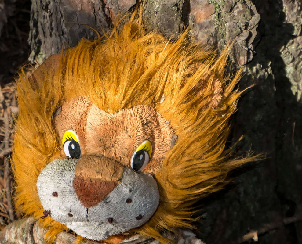 ��� ���������.... ����� ������  �� PhotoGeek.ru #�������� ���