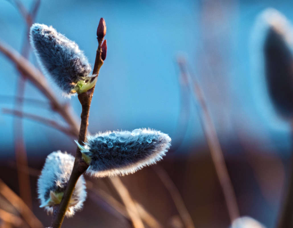 ����..... ����� ������  �� PhotoGeek.ru #������ ��� �������