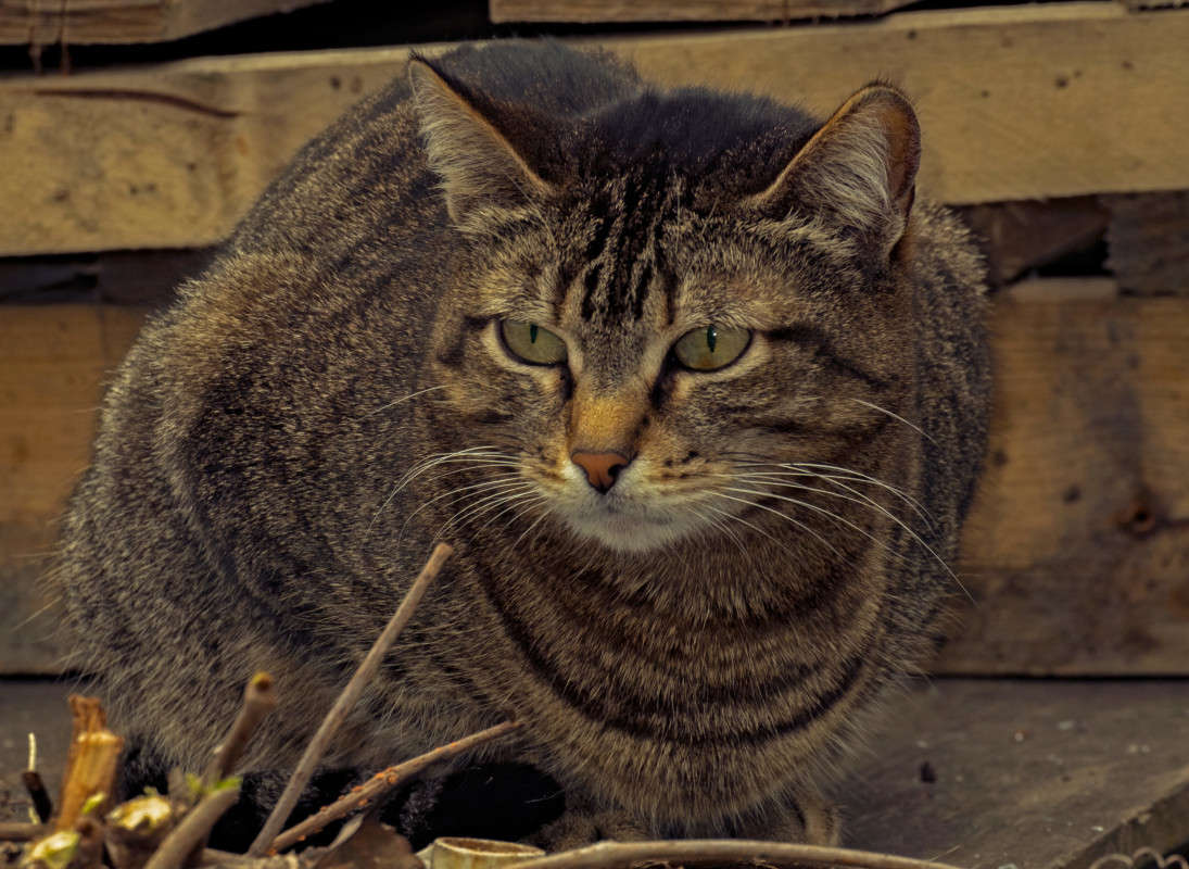 ����� ����... ����� ������  �� PhotoGeek.ru #�������� ���