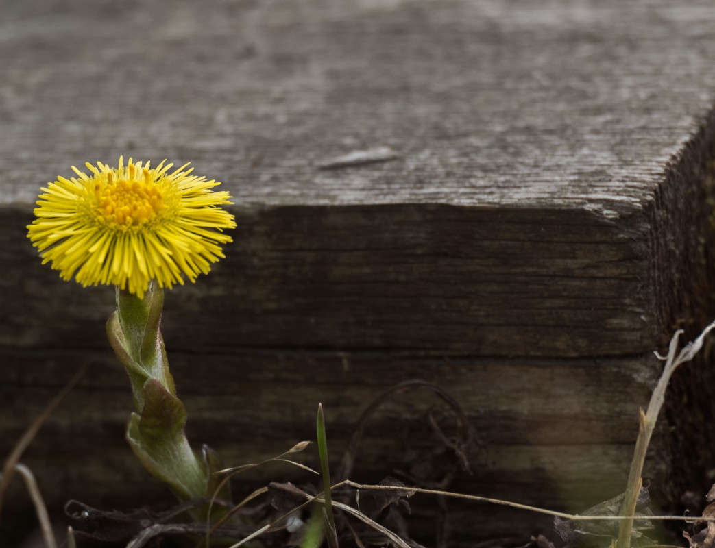 ������ ����� ����� ������  �� PhotoGeek.ru #������ ��� �������