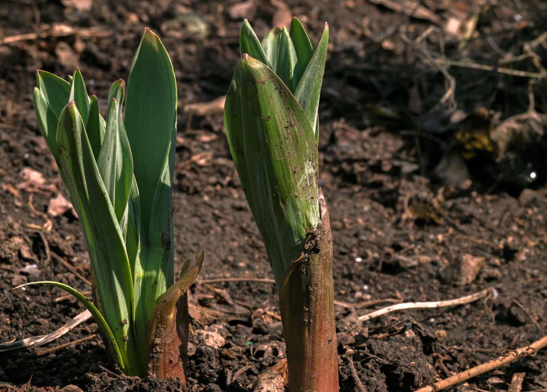 � ������! ����� ������  �� PhotoGeek.ru #������ ��� �������