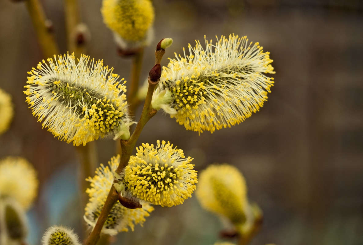 � �������� �������� �����������.... ����� ������  �� PhotoGeek.ru #������ ��� �������