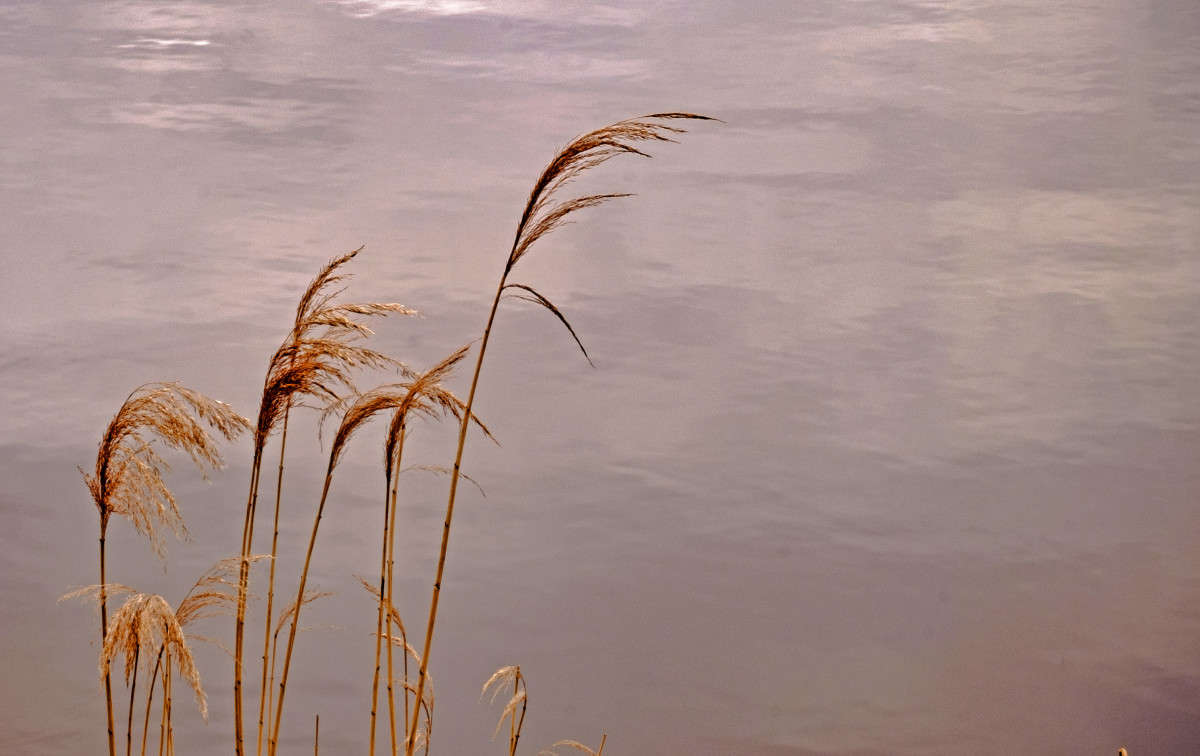 ���������... ����� ������  �� PhotoGeek.ru #������ ��� �������