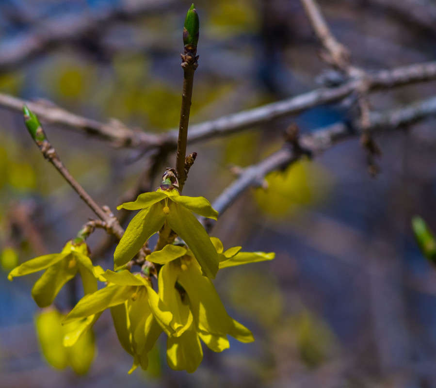 ����� ����� ������  �� PhotoGeek.ru #������ ��� �������