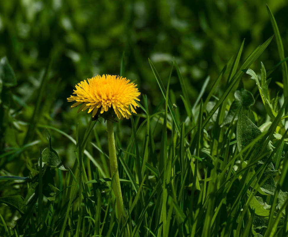 ������... ����� ������  �� PhotoGeek.ru #������ ��� �������