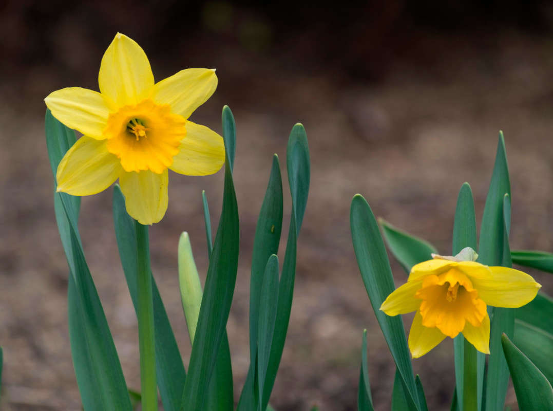 �����! ����� ������  �� PhotoGeek.ru #������ ��� �������