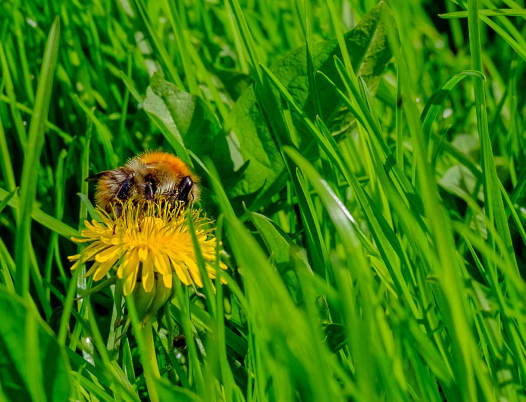 ���������.... ����� ������  �� PhotoGeek.ru #�����