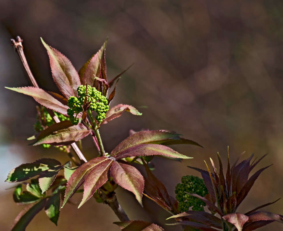 � ����� �����... ����� ������  �� PhotoGeek.ru #������ ��� �������