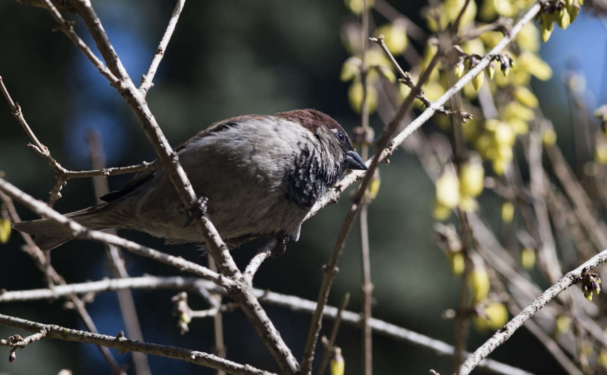 ���� ��� �������.... ����� ������  �� PhotoGeek.ru #�������� ���