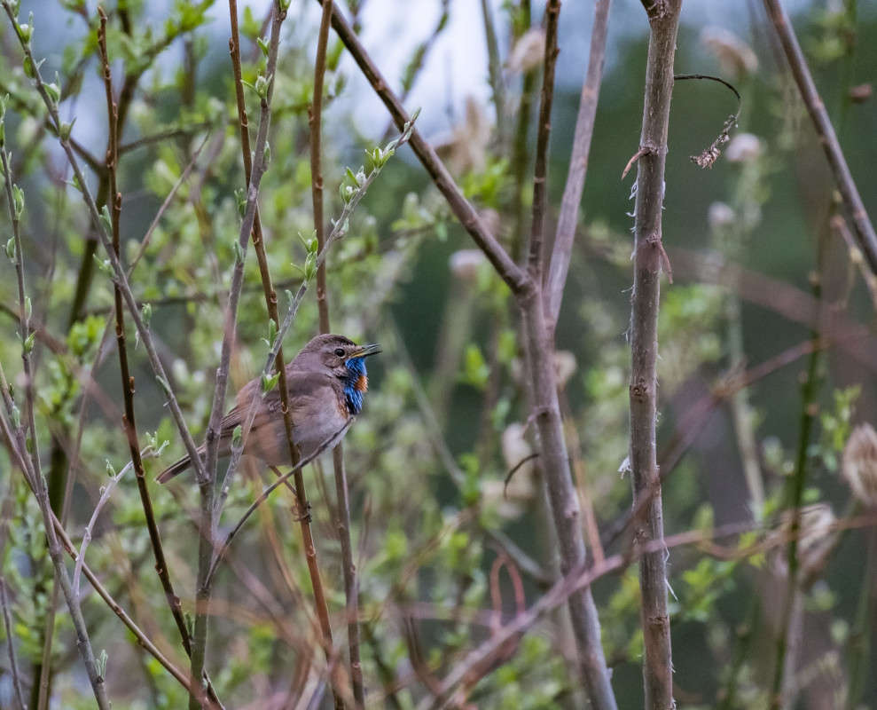 ����� ������� � ����� ���������.... ����� ������  �� PhotoGeek.ru #�������� ��� #������ ��� �������