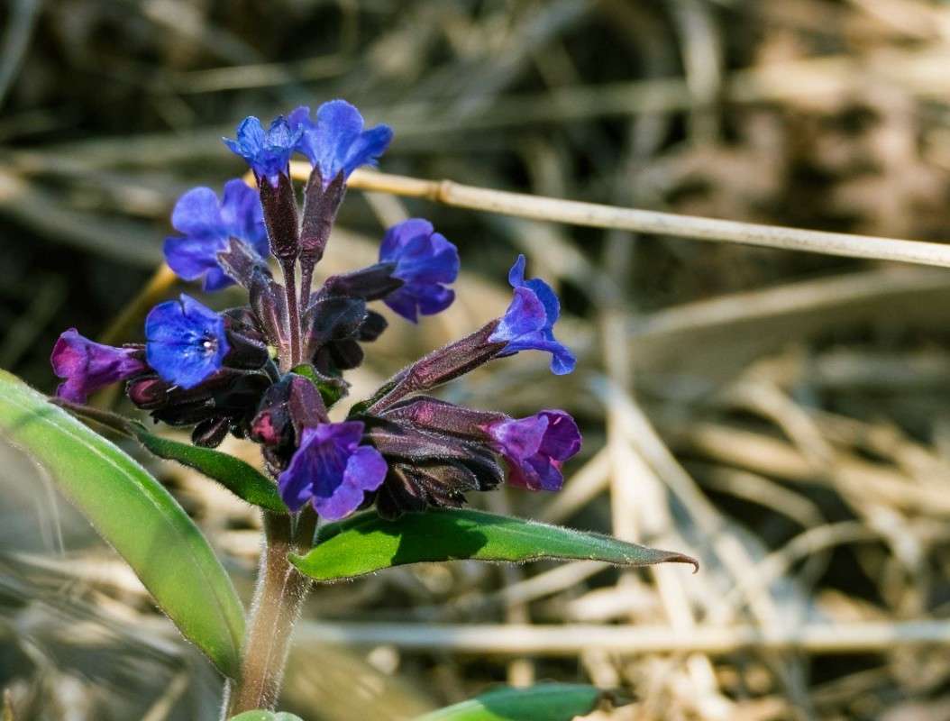 ������ �����... ����� ������  �� PhotoGeek.ru #������ ��� �������