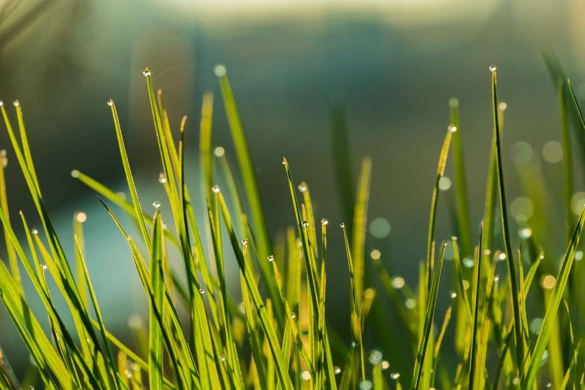 ����� ������..... ����� ������  �� PhotoGeek.ru #������ ��� �������