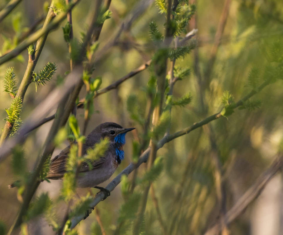 ��������� �������� �����...... ����� ������  �� PhotoGeek.ru #�������� ���