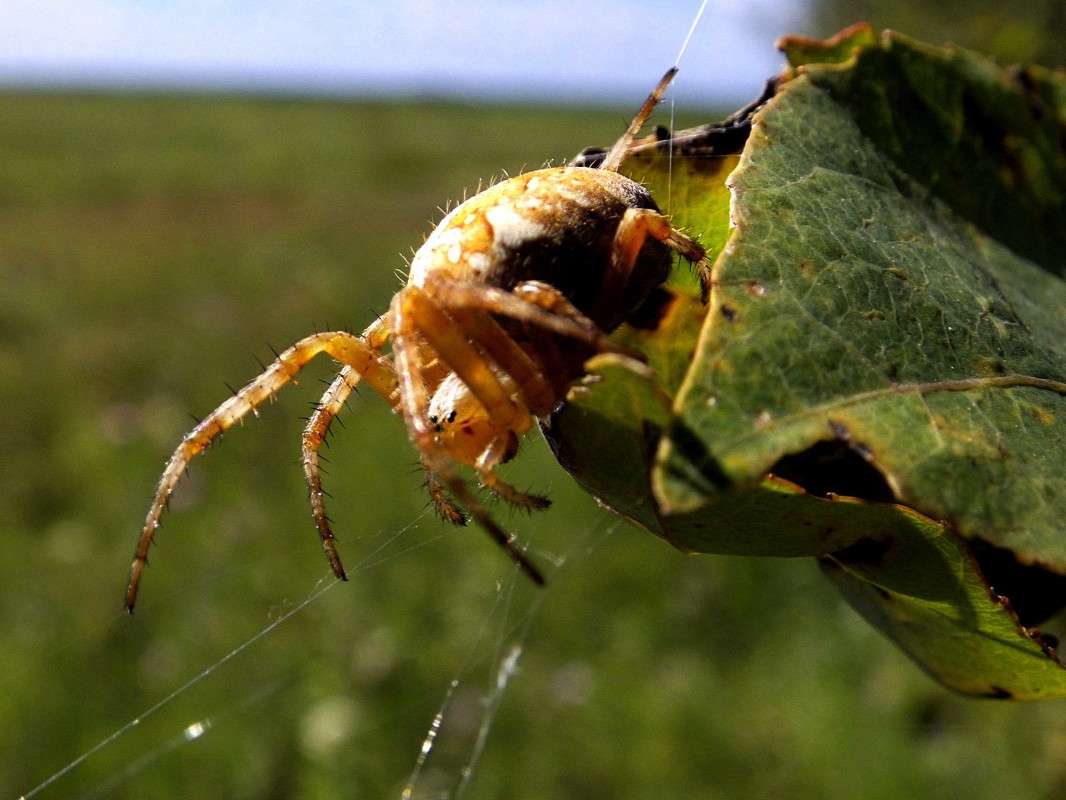 ������� 1 ����� ������  �� PhotoGeek.ru #�����