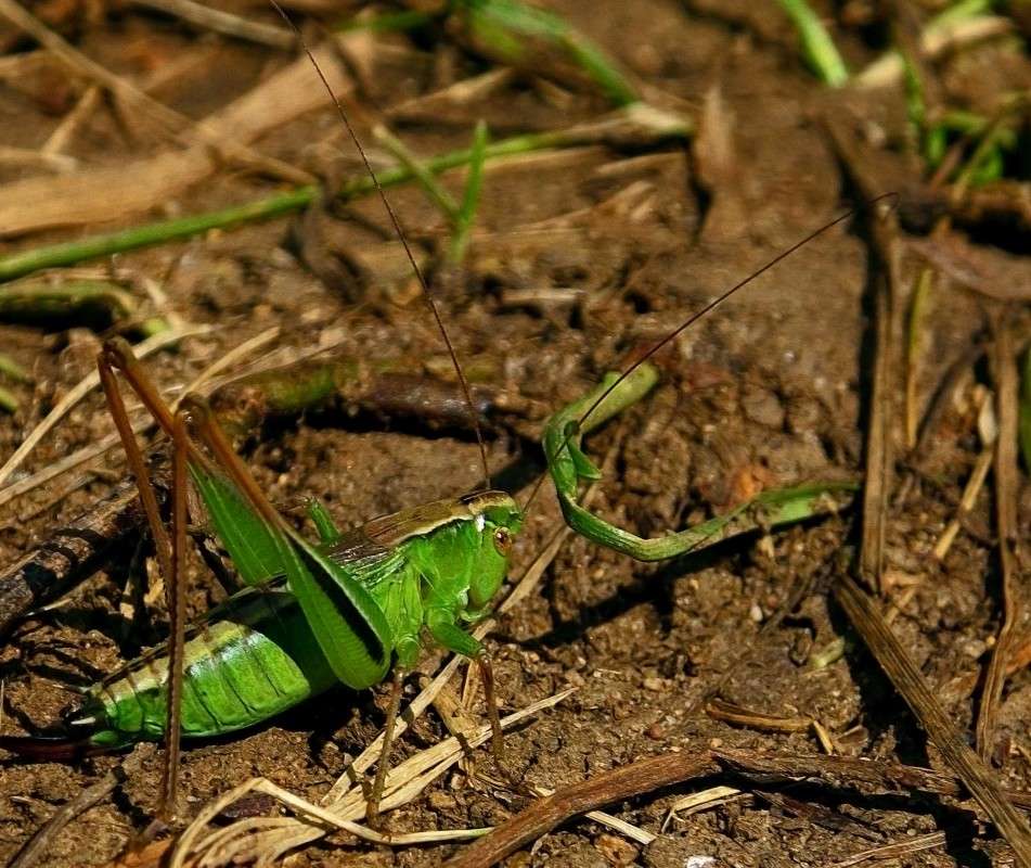 ������� 2 ����� ������  �� PhotoGeek.ru #�����