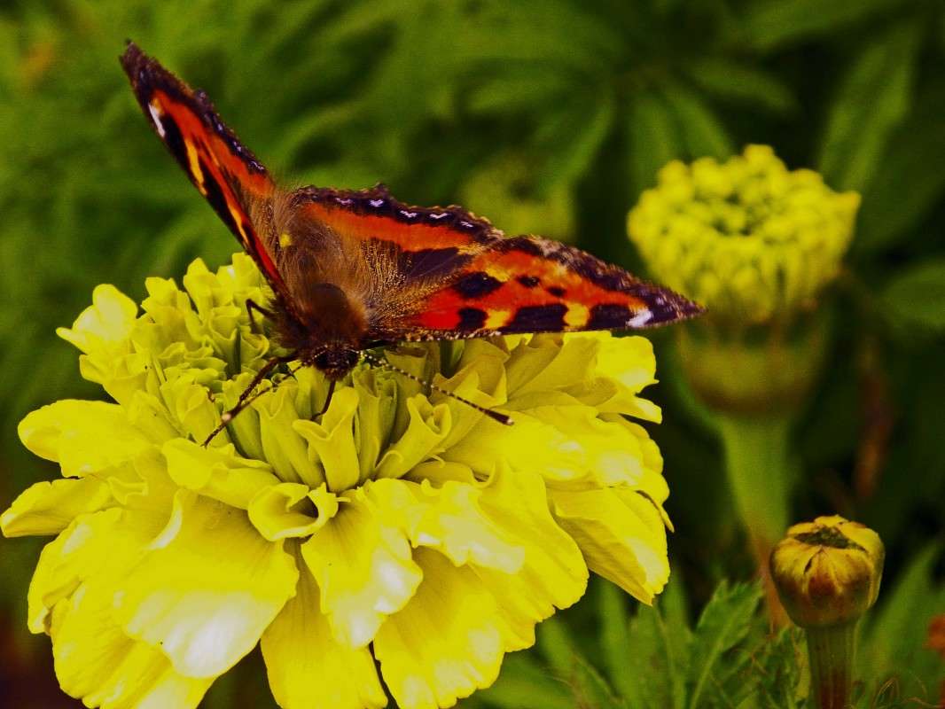 ������� 3 ����� ������  �� PhotoGeek.ru #�����