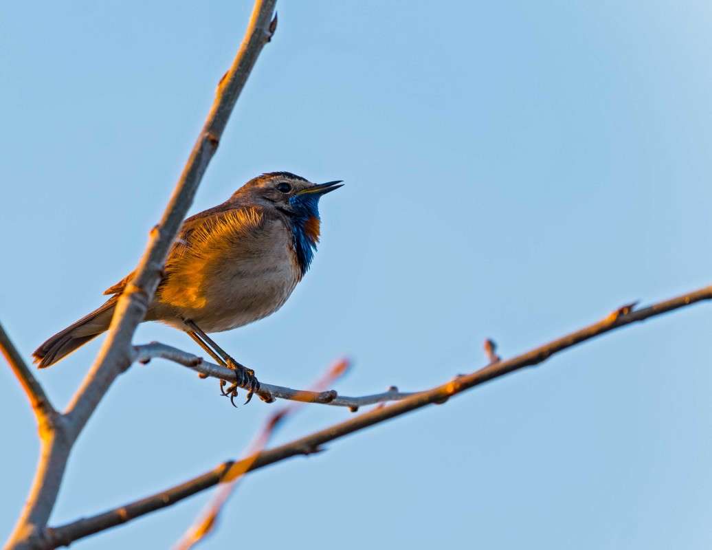 ��������� ������.. ����� ������  �� PhotoGeek.ru #�������� ���