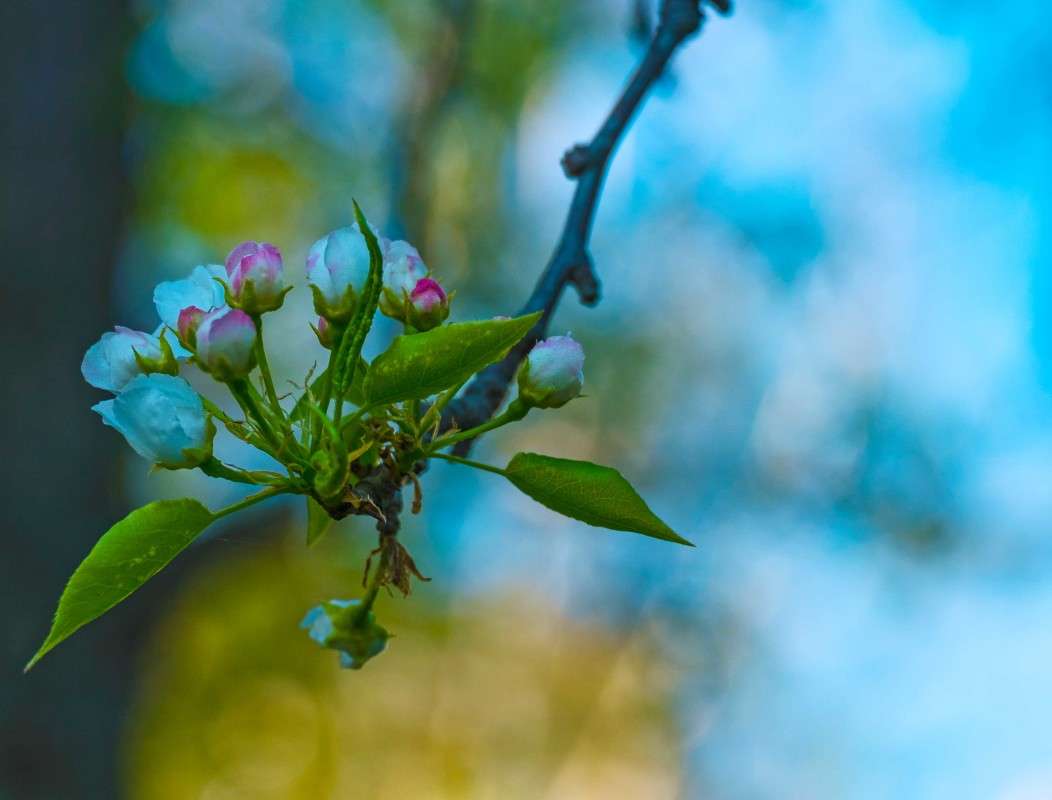 ������.... ����� ������  �� PhotoGeek.ru #������ ��� �������