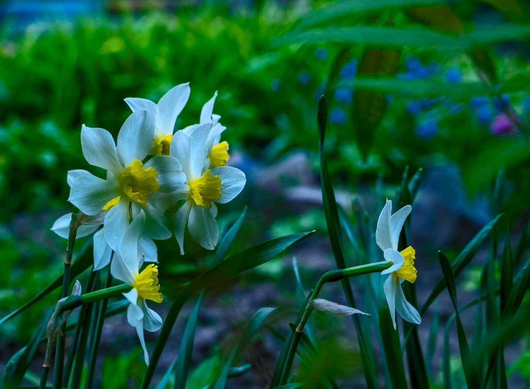 ������� ����� ������  �� PhotoGeek.ru #������ ��� �������